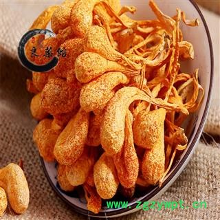 正品虫草花特大孢子头 特级北虫草花 蛹虫草 金虫草图2