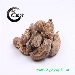 金蝉花统个 产地四川绵阳  药典标准 地道良药馆1000克直销图2