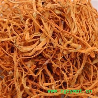 虫草花 精品金虫草选货 虫草花新货 质量好 产地 黑龙江省伊春市图3