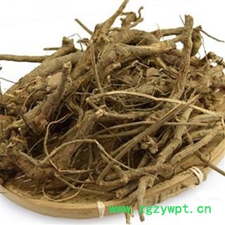 煜庭药业   山白芷图2