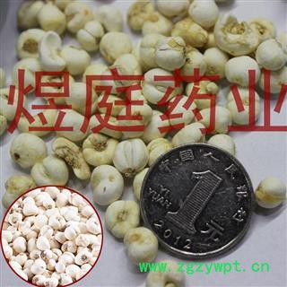煜庭药业 正品川贝 松贝母 川贝母图4