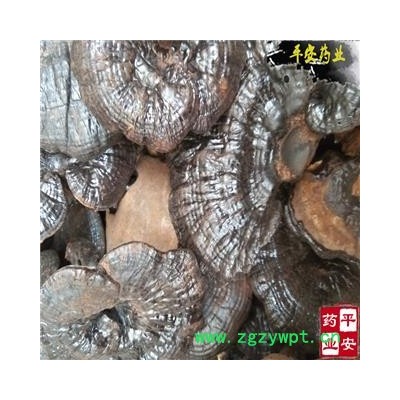 平安药业 紫灵芝 黑灵芝 正品