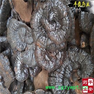 平安药业 紫灵芝 黑灵芝 正品图2
