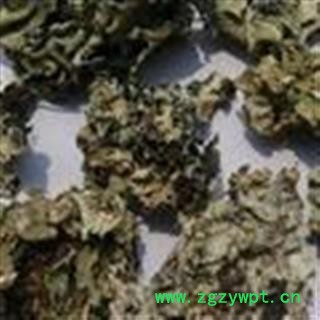 小丽百草行 石花 乳花 地衣图2