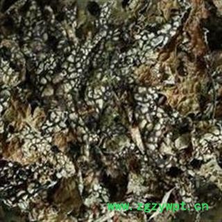 小丽百草行中药材老龙皮 石龙皮 网肺衣 石龙衣图2