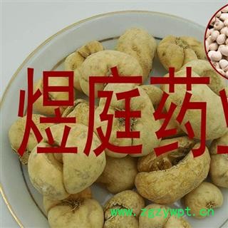 煜庭药业 浙贝  贝母 象贝 象贝母 大贝母图3