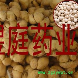 煜庭药业 浙贝  贝母 象贝 象贝母 大贝母图2