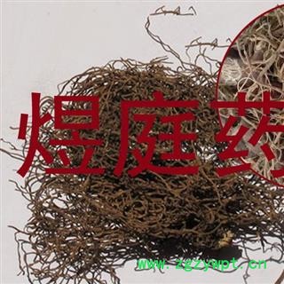 煜庭药业 红毛七 红毛三七图2