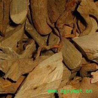 煜庭药业 黄根 三丫苦 三叉虎 斑鸠花，小黄散，三岔叶图2