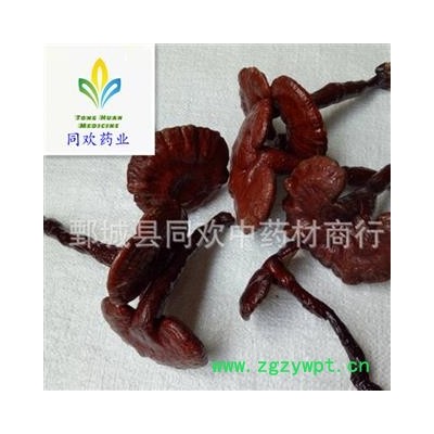 【木灵芝个】@【同欢药材】中药材批发供应  规格齐全 量大从优 产地 吉林省