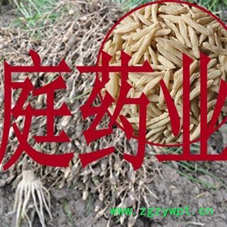 煜庭药业 麦冬 寸冬图3