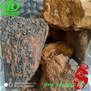 世元药业 白桦茸大块 正桦树茸 白桦泪 桦树泪 桦树黄 桦树菇 桦褐孔菌 西伯利亚灵芝 桦树胆 桦树瘤 白桦茸 桦树菇 桦穴茸图3