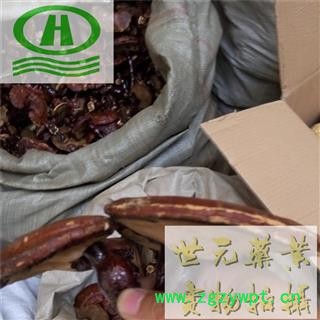 世元药业 东北桦木灵芝 正品 别称-赤芝 红芝 丹芝 瑞草 木灵芝 菌灵芝 万年蕈 灵芝草【全品除尘中药】图2
