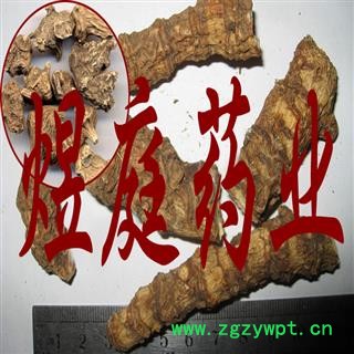 煜庭药业 竹节参 竹山漆 竹节三七 竹鞭三七 罗汉三七 白三七图2