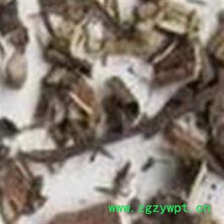 煜庭药业 八棱木 八棱麻 八楞木 走马前 走马风 三棱草 正品图2