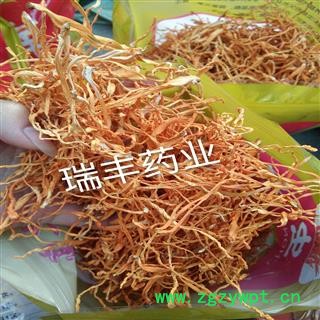 金虫草 选装 产地 吉林省图3