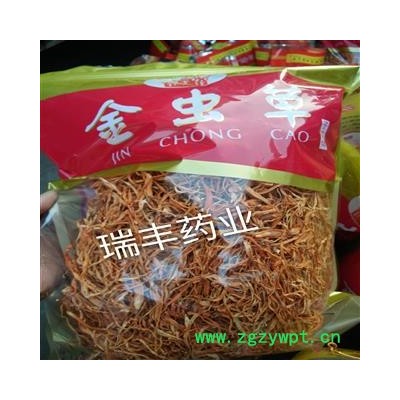 金虫草 选装 产地 吉林省