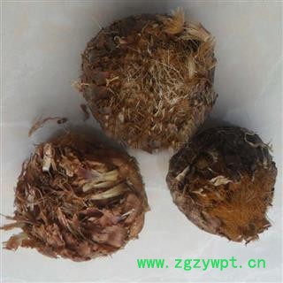 煜庭药业 漏芦 漏芦花图4