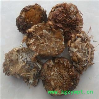 煜庭药业 漏芦 漏芦花图2