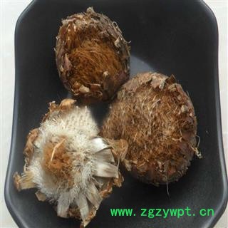 煜庭药业 漏芦 漏芦花图3