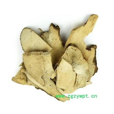 煜庭药业 岗梅根 槽楼星、秤星木、白点秤