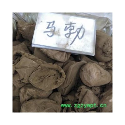 马勃 统货 产地 内蒙古自治区