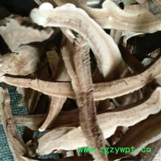 灵芝 灵芝片 产地 山东省图2