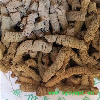 瑞森药材行巴戟肉 巴戟肉全抽芯 广巴戟肉 特大选货全抽芯图3