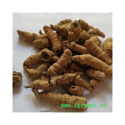 瑞森药材行巴戟肉 巴戟肉全抽芯 广巴戟肉 特大选货全抽芯