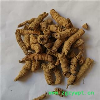 瑞森药材行巴戟肉 巴戟肉全抽芯 广巴戟肉 特大选货全抽芯图2