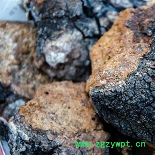 白桦茸 桦树茸 白桦泪 桦树泪 桦树黄 桦树菇 桦褐孔菌 统货 产地 黑龙江省图2