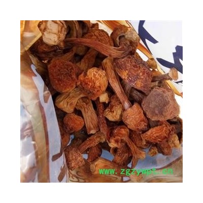 松茸 姬松茸 食用松茸 产地 吉林省