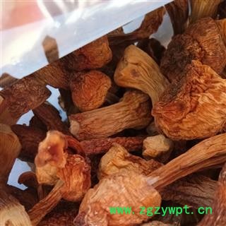 松茸 姬松茸 食用松茸 产地 吉林省图2