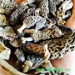 羊肚菌 食积气滞、脘腹胀满、痰壅气逆喘咳图2