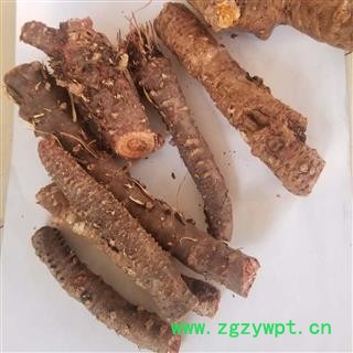 瑞森药材行红景天 小花红景天 干净无毛实物拍照图3