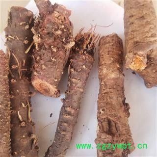 瑞森药材行红景天 小花红景天 干净无毛实物拍照图2