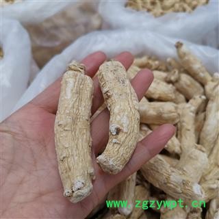 瑞森药材行人参 生晒参单支20克左右新货实物拍照图2