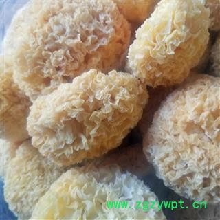 银耳 白木耳 银耳干货糯丑耳无硫新鲜雪耳莲子羹材料图2