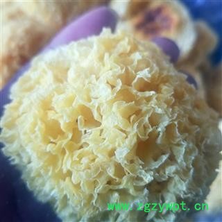银耳 白木耳 银耳干货糯丑耳无硫新鲜雪耳莲子羹材料图4
