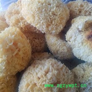 银耳 白木耳 银耳干货糯丑耳无硫新鲜雪耳莲子羹材料图3