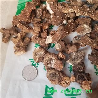 八角莲  别称 一碗水 金魁莲图2