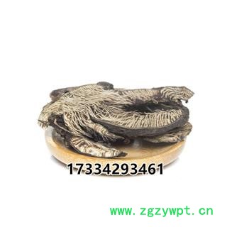 瑞森药材行升麻 关升麻支持药检对接各大饮片厂药厂图4