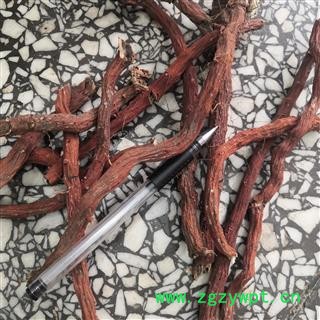 诺源药材行中药材丹参  丹参大条   含量高图3