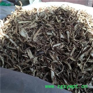 诺源药材行正品甘肃岷县当归  大货供应图3