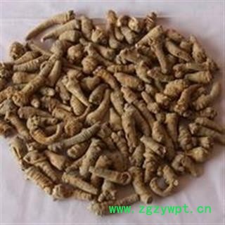 诺源药材行文山三七 120头图3