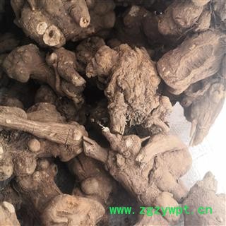 诺源药材行中药材白术 浙白术图2