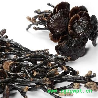 吉康药业灵芝 竹灵芝产地云南7日内无理由退货图2