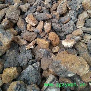 吉康药业白桦茸  桦树茸 白桦泪 桦树泪 桦树黄 桦树菇 桦褐孔菌图2