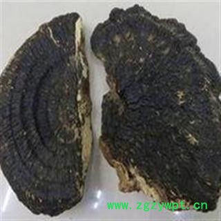 吉康药业中药材灵芝  薄树芝 量大从优图2