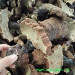 吉康药业灵芝 林下灵芝正宗长白山灵芝、不苦图2